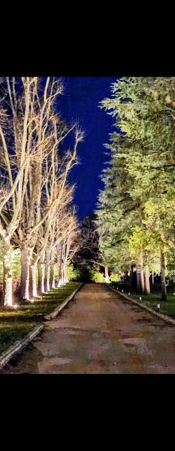 La Casa Nel Parco Luxury B&B San Lazzaro di Savena Exteriör bild